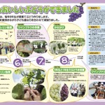 松本市立山辺小学校ＰＴＡ様／ＰＴＡ会報第74号